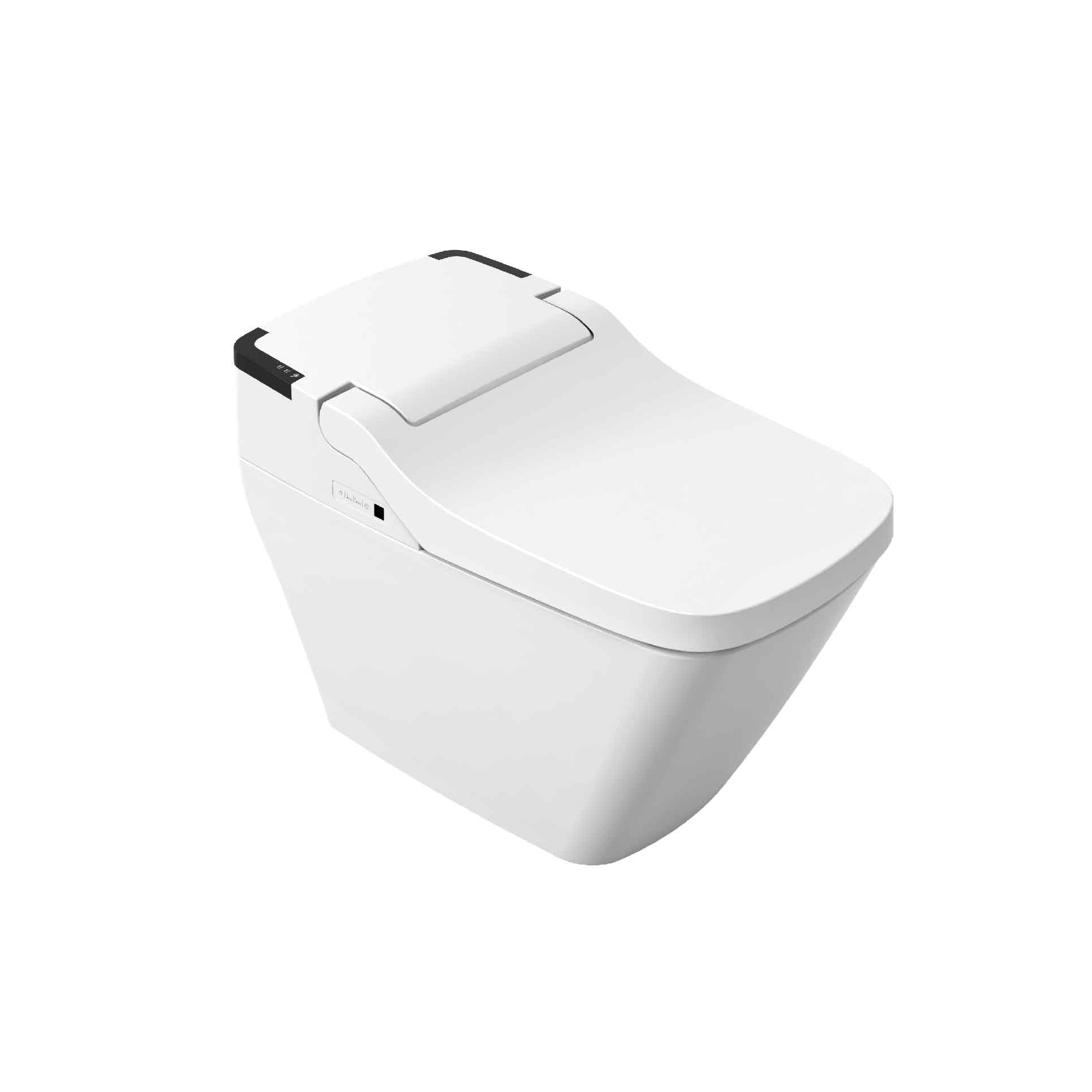 VOVO Bidet Toilet with Auto Open and Close Lid TCB-090SA