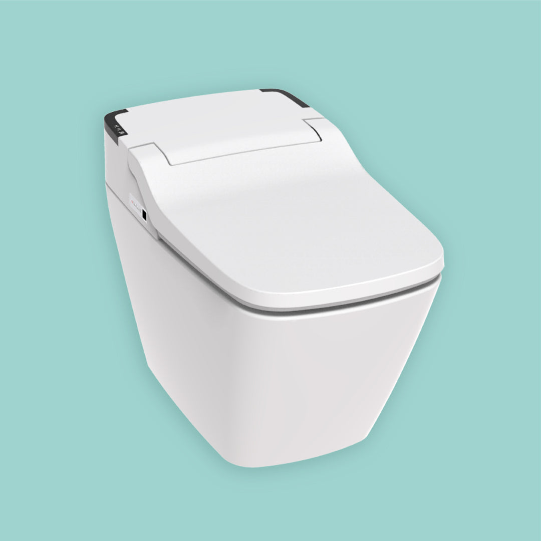 VOVO Bidet Toilet with Soft Close TCB-090S